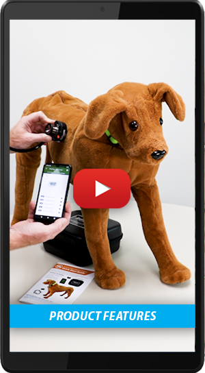 Canine Auscultation Trainer