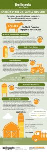 cattle careers