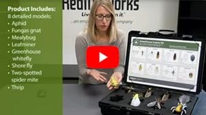 Greenhouse Insects Kit