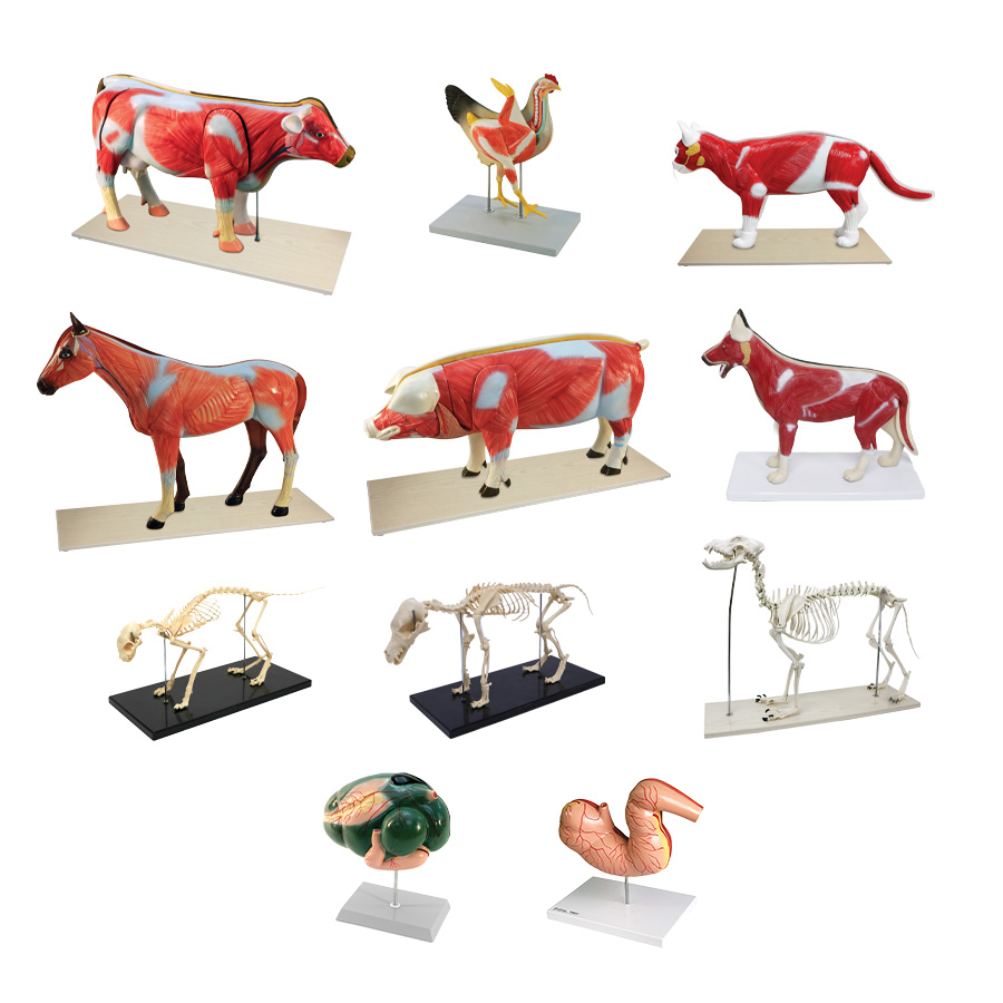Animal Systems Package-2026