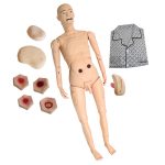 Geriatric Nursing Manikin