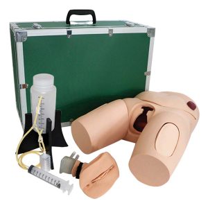 Vinyl Female Catheterization Simulator
