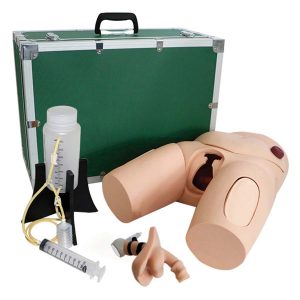 Vinyl Male Catheterization Simulator
