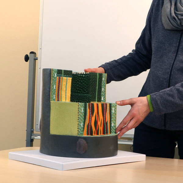 plant and soil science tool: Dicot Stem Model