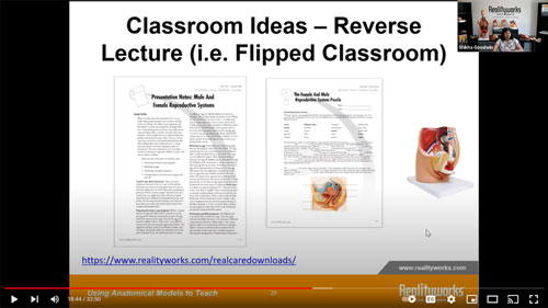 Using Anatomical Models to Teach Body Structure and Function