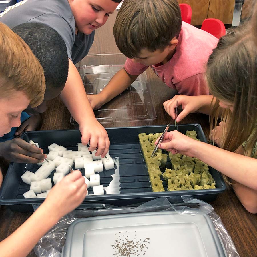 Plant Producer Educational Hydroponics System