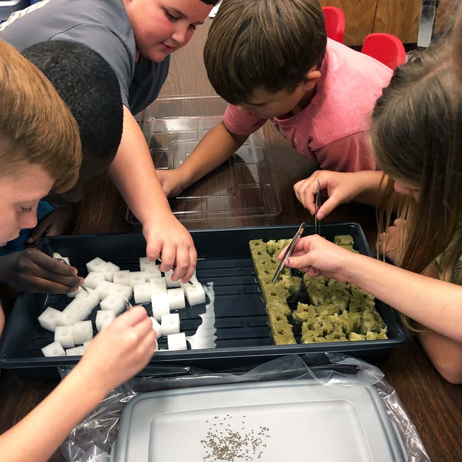 Plant Producer Educational Hydroponics System
