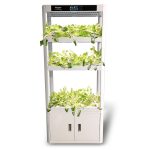 Plant Producer Hydroponics Educational System