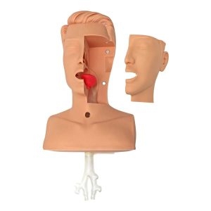 Airway Suction Trainer