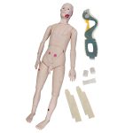 Closed Fracture Trauma Manikin