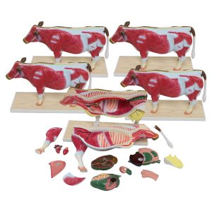Set of 5 Small Cow Models