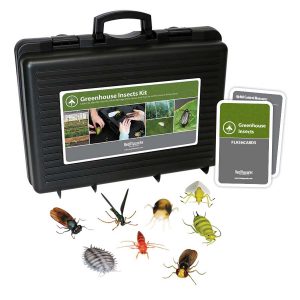 Greenhouse Insects Kit