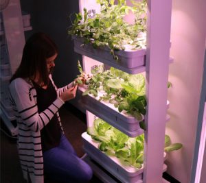 Hydroponics Lifestyle