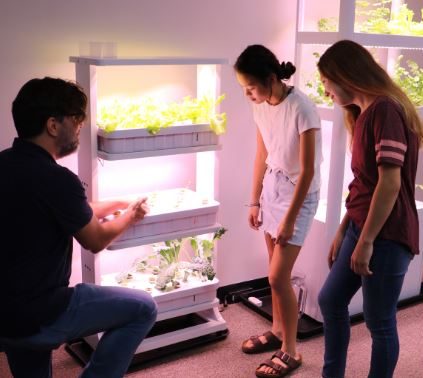 Hydroponics Systems