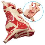 Butcher Beef Cuts Models