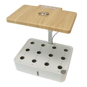 Plant Mini Educational Hydroponics System