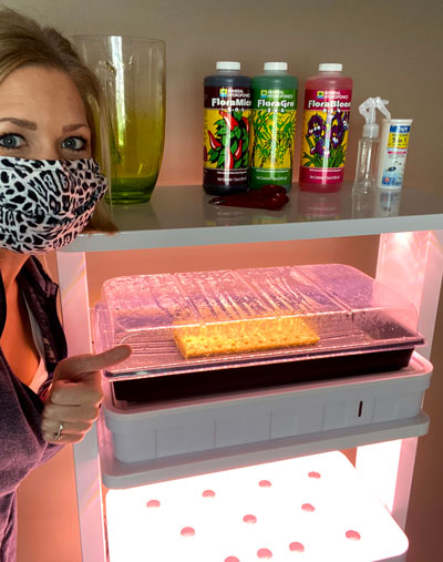 Emily with her hydroponics unit