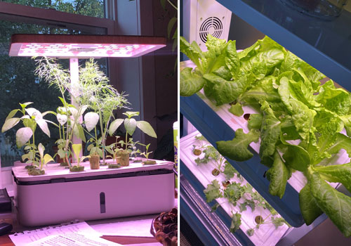 Hydroponics progress update