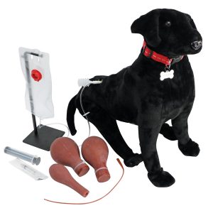 Canine Vet Trainer Sitting