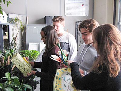 Students looking at plant models