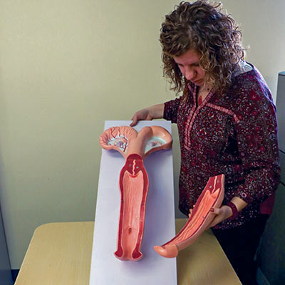 Woman with uterus model