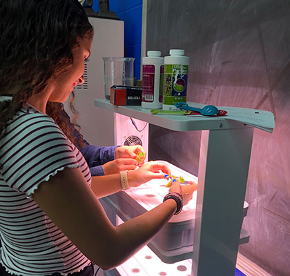 Hydroponics class students placing their plants