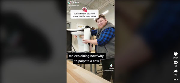 Ag teacher using Realityworks' Bovine Breeder artificial insemination simulator on TikTok