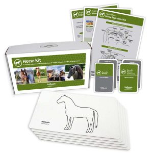 Horse Kit
