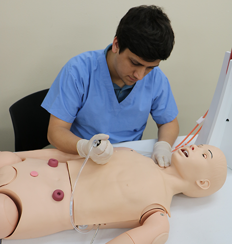 Student using Adult Nursing Manikin in scenario