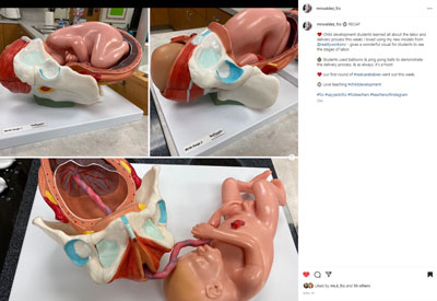 Birth Model Set in a classroom