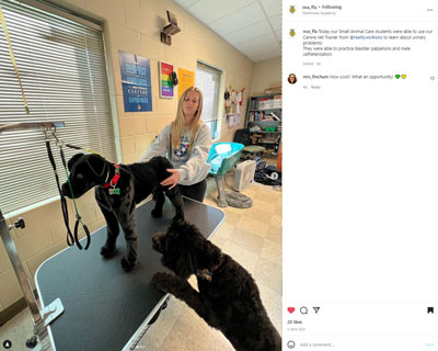 Hands-on learning activities with Realityworks' Canine Vet Trainer