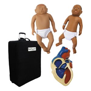 Birth Defects and Disorder Model Set