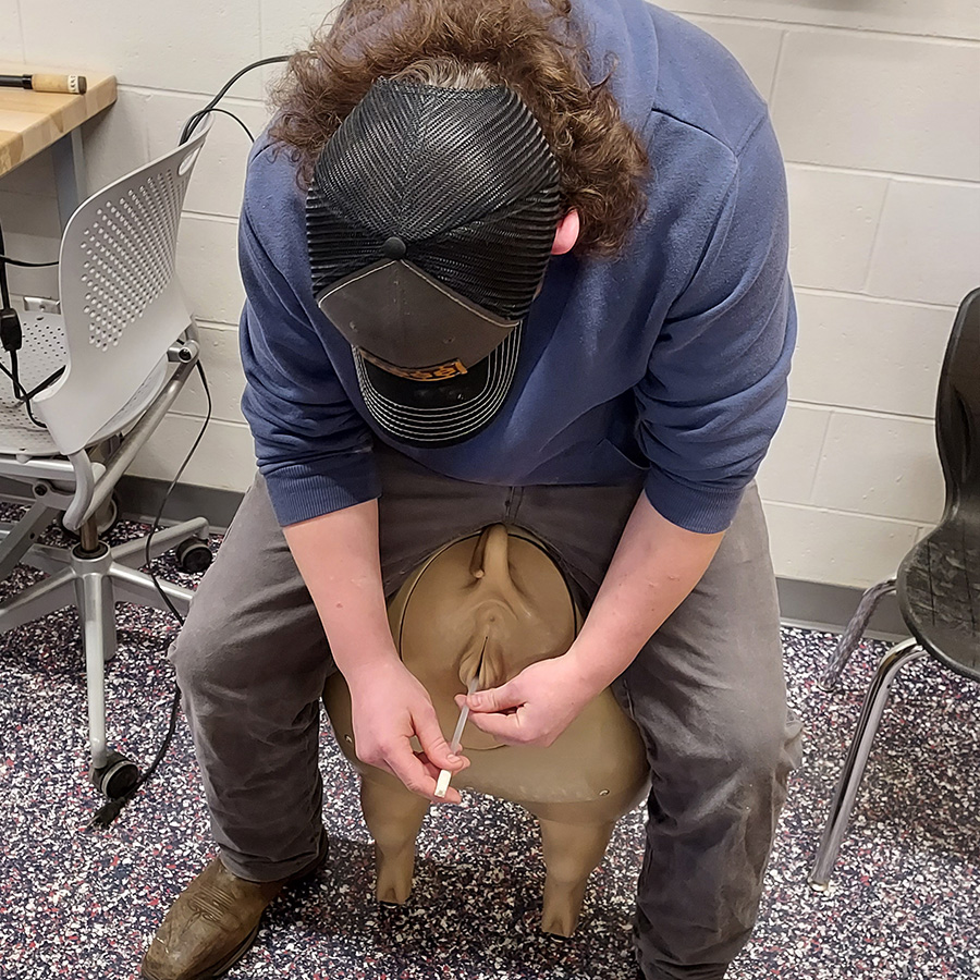 Student uses the Swine Breeder for hands-on pig husbandry experience