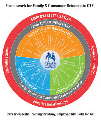 Framework for FCS in CTE