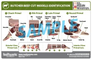 Butcher Beef Cuts Poster Sample