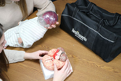 Students using Shaken Baby and brain model