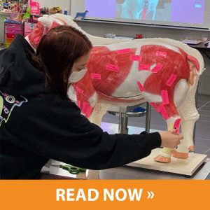 Career Exploration Story 6