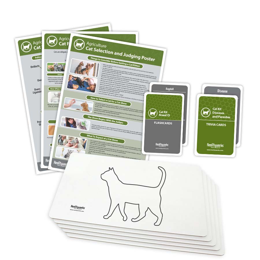 Cat Kit - Realityworks