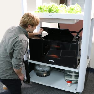 Student checks on the fish in the Educational Aquaponics System