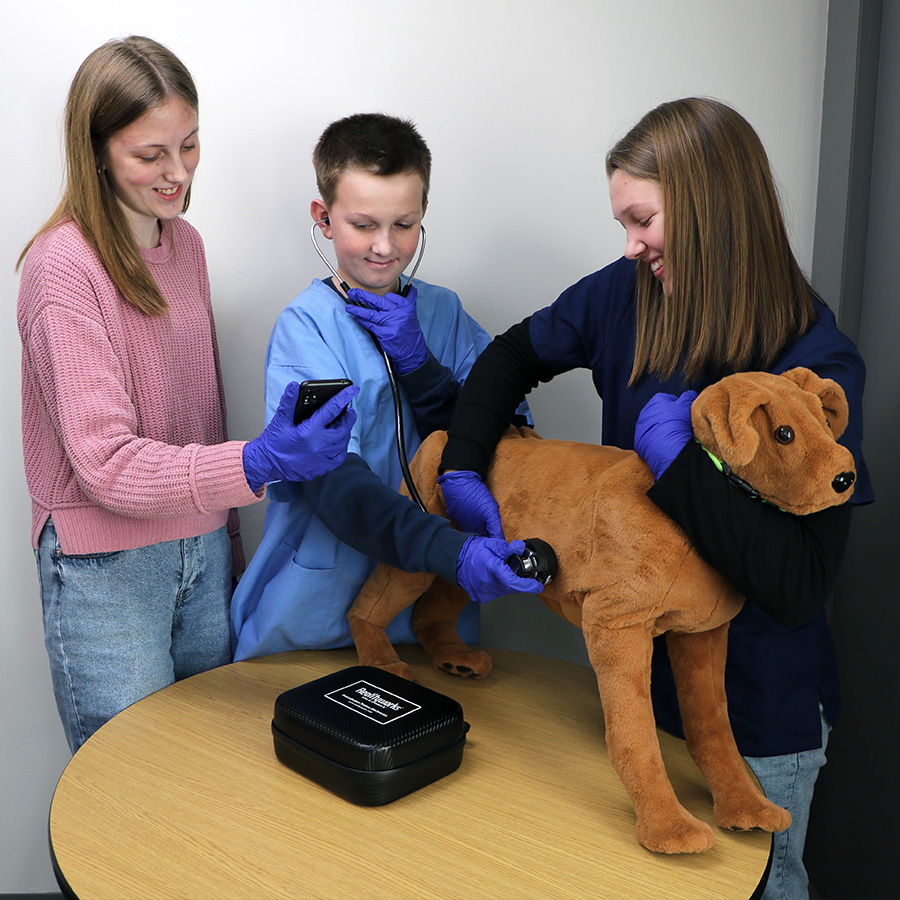 Students use the Canine Auscultation Trainer