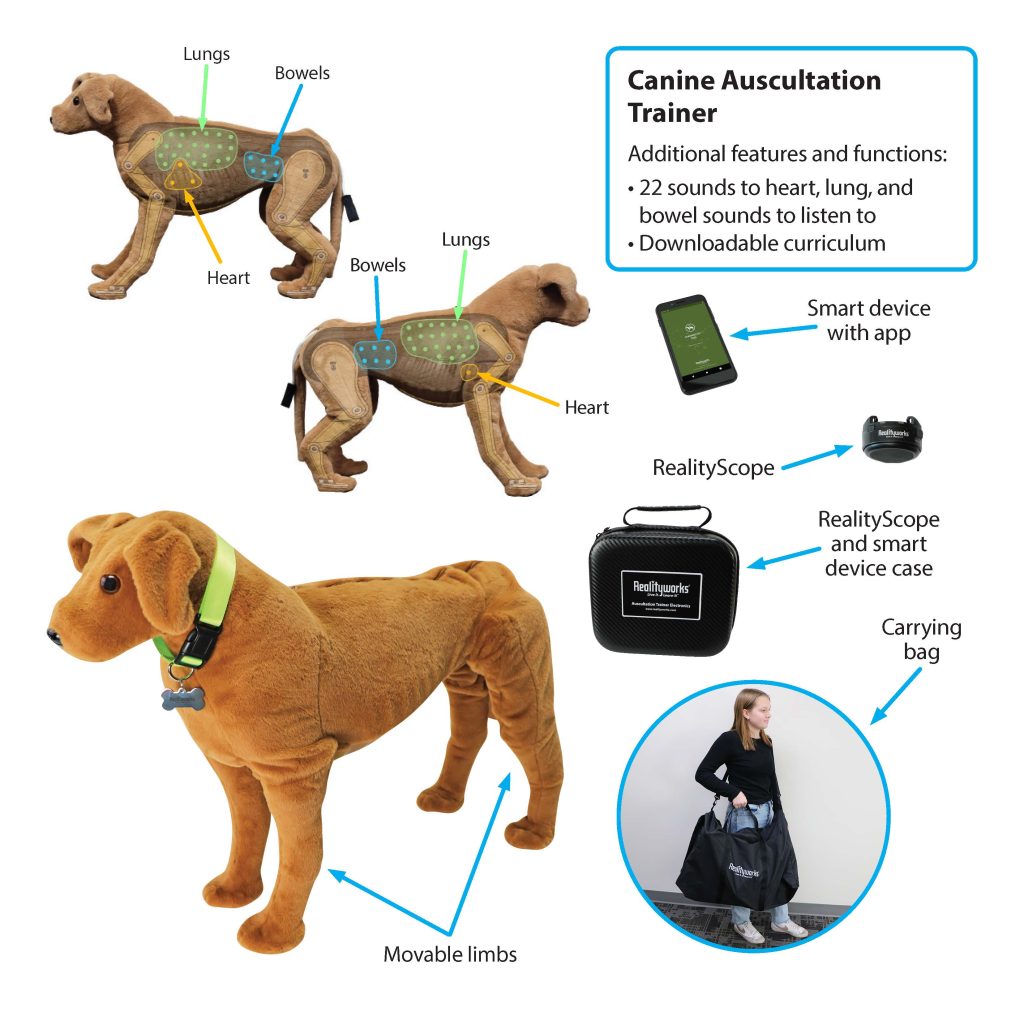 Canine Auscultation Trainer Features