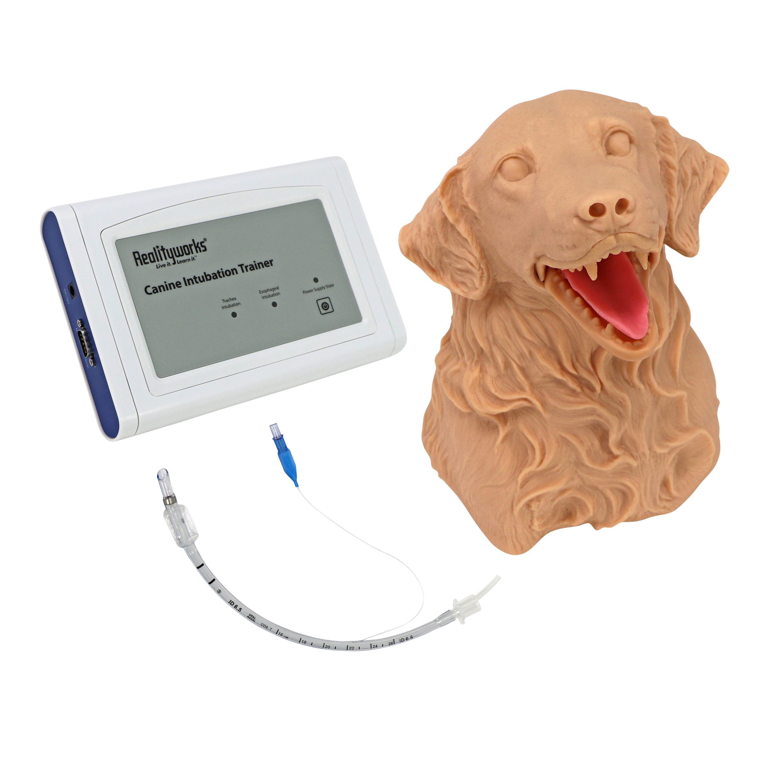Canine Intubation Sim
