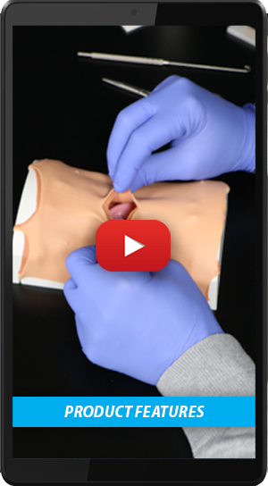 Canine Spay Simulation Kit Features Short