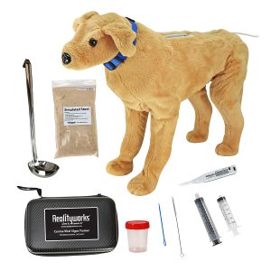 Canine Vital Signs Trainer