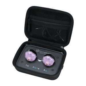 DataSnap Motion Sensor-WEB2
