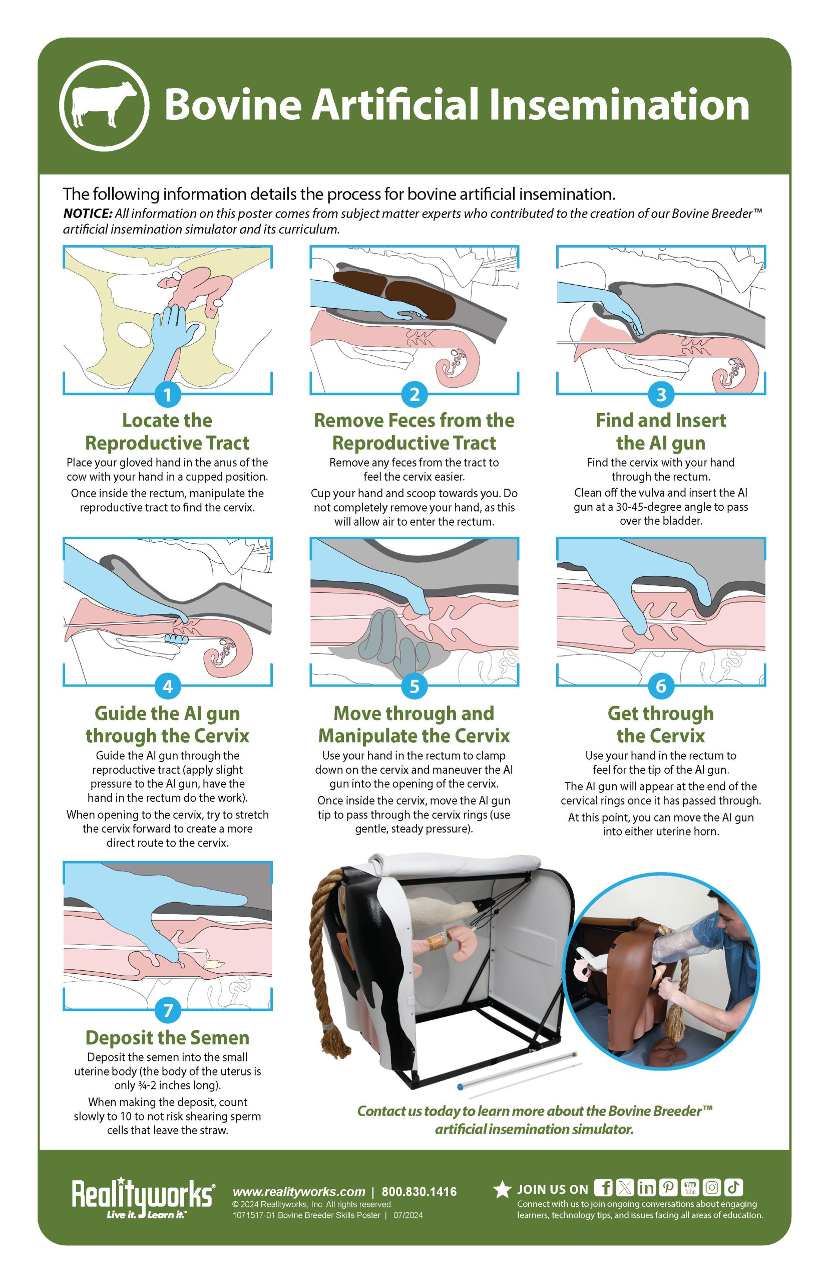 Bovine Artificial Insemination Skills Poster