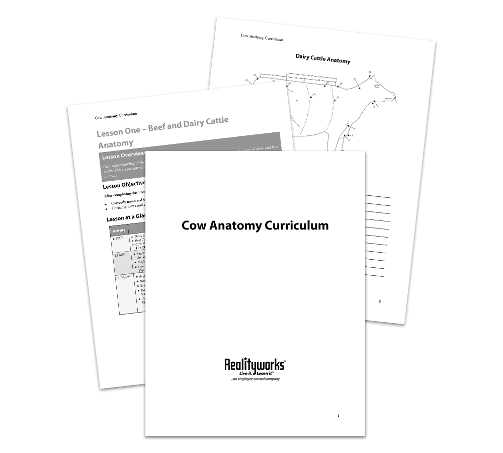Cow Anatomy Curriculum