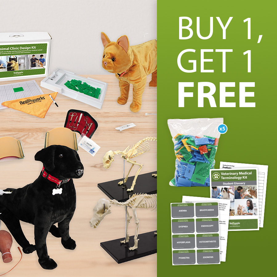 Buy 1 Get 1 Free Vet