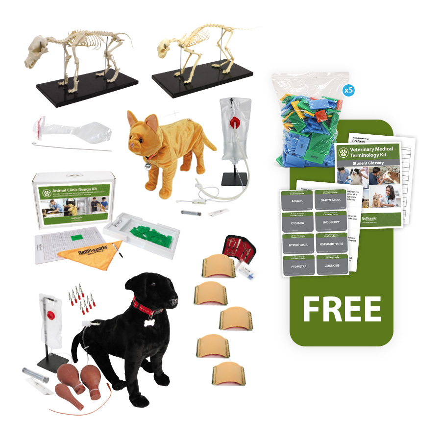 Buy1Get1Free-Vet Buy1Get1Free-Vet